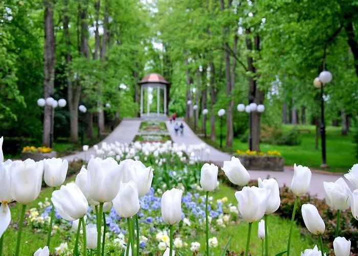 Resort Wielka Pieniawa Polanica-Zdrój